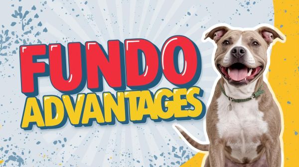 Fundo Advantages 3